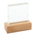 Trofee Rectofi