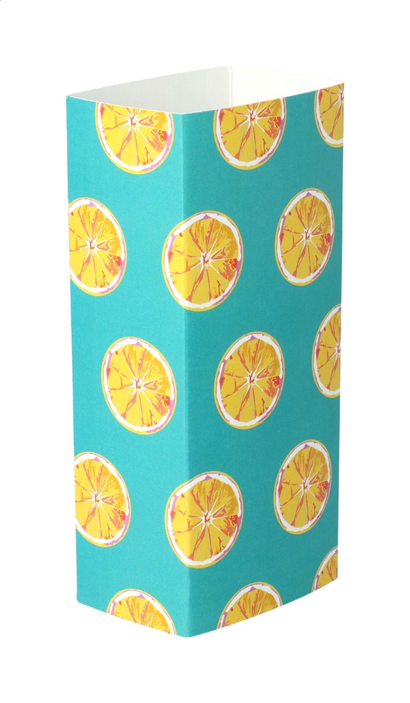 aangepaste papieren sleeve-CreaSleeve 213