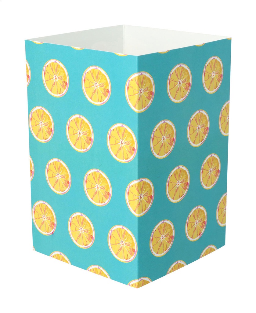 aangepaste papieren sleeve-CreaSleeve 359