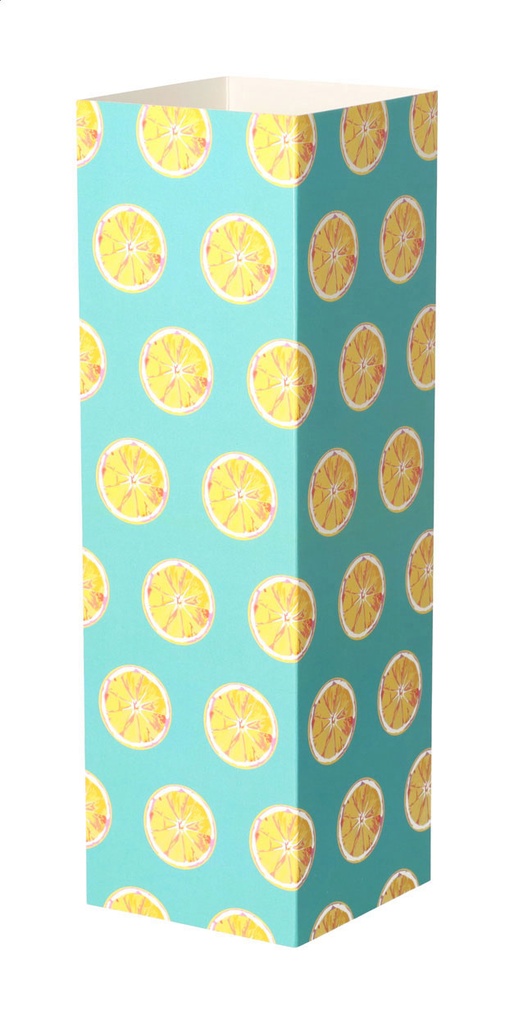 aangepaste papieren sleeve-CreaSleeve 421