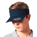 110 Visor