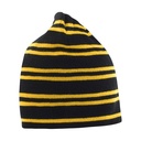 Team Reversible Beanie