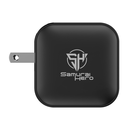 [P301.9801] Urban Vitamin Santa Cruz RCS rplastc 70W GAN oplader