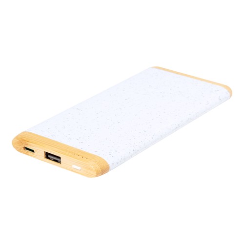 [AP734272-01] Powerbank Coquin