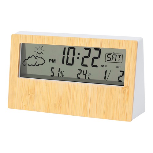 [AP733974] Bamboe weerstation Roamer
